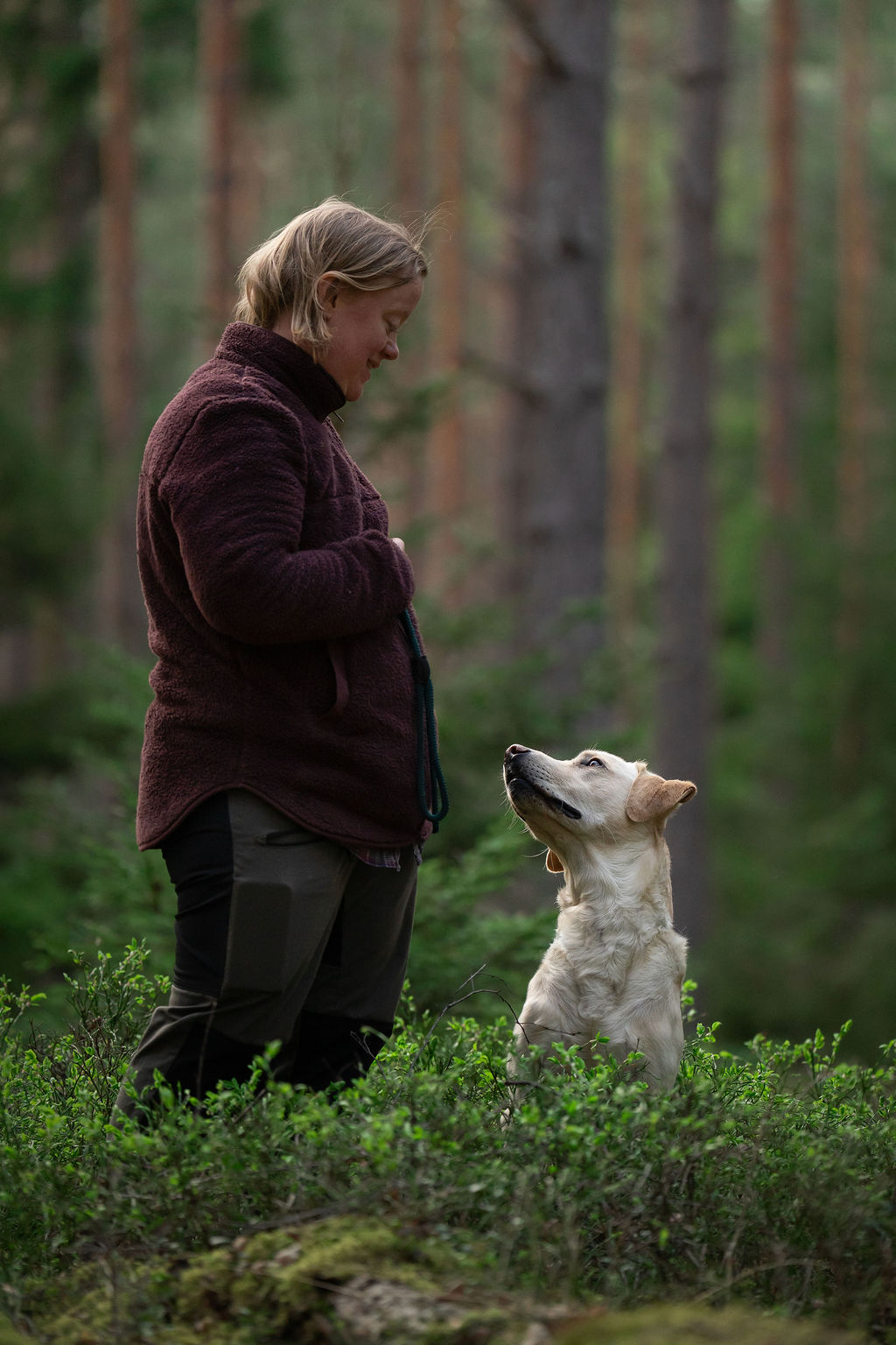 Enzo - Belöningsbaserad hundträning i Sollentuna